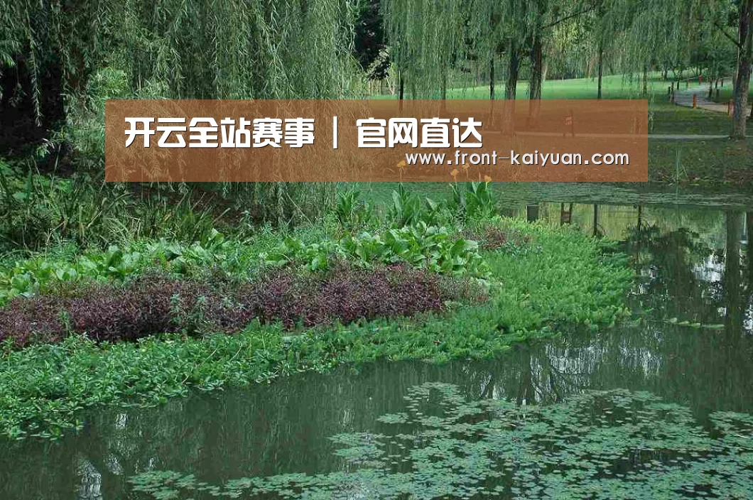 案例展示一(图1)