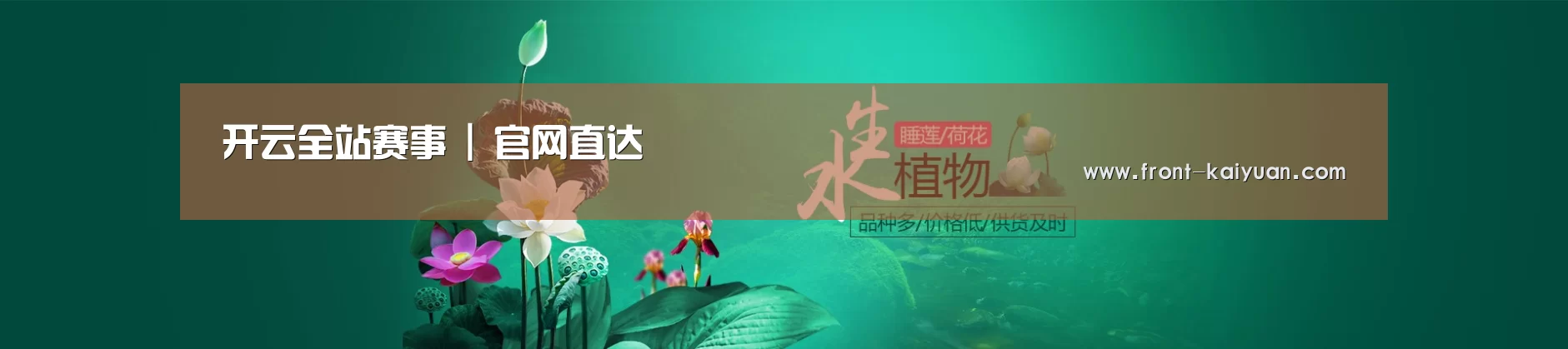 鲜花水草花卉网站模板
