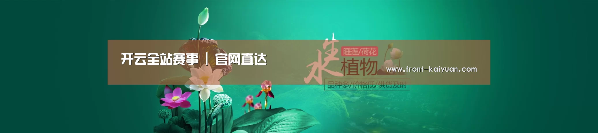 鲜花水草花卉网站模板