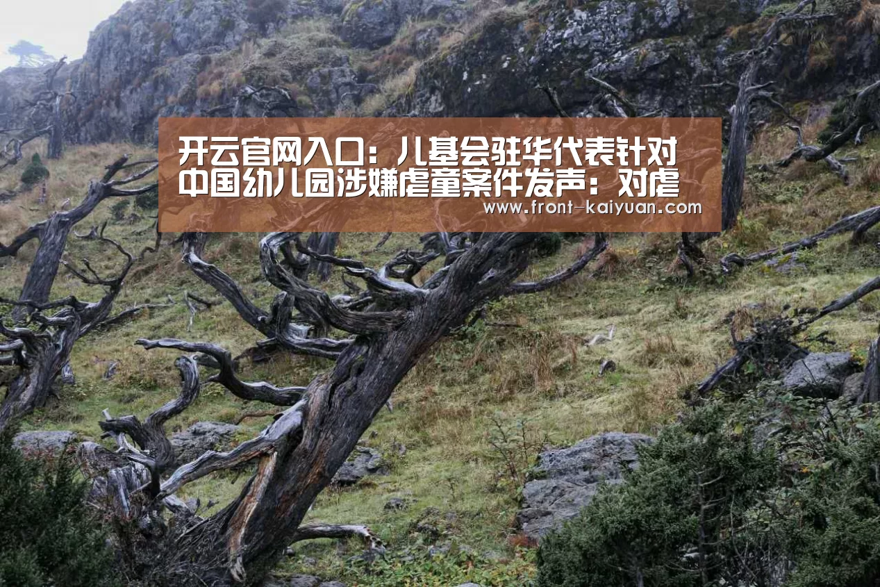 开云官网入口