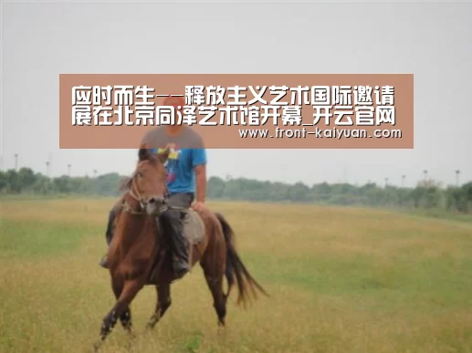 应时而生--释放主义艺术国际邀请展在北京同泽艺术馆开幕_开云官网入口