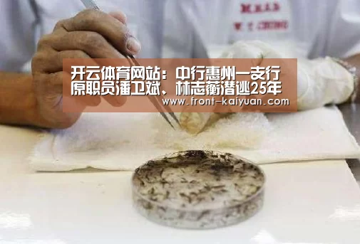 开元体育app