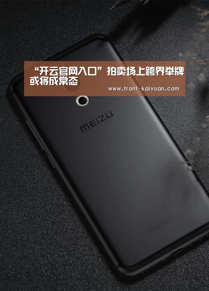 “开云官网入口”拍卖场上跨界举牌或将成常态