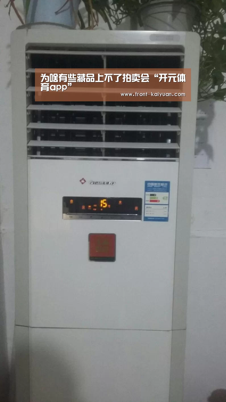 为啥有些藏品上不了拍卖会“开元体育app”