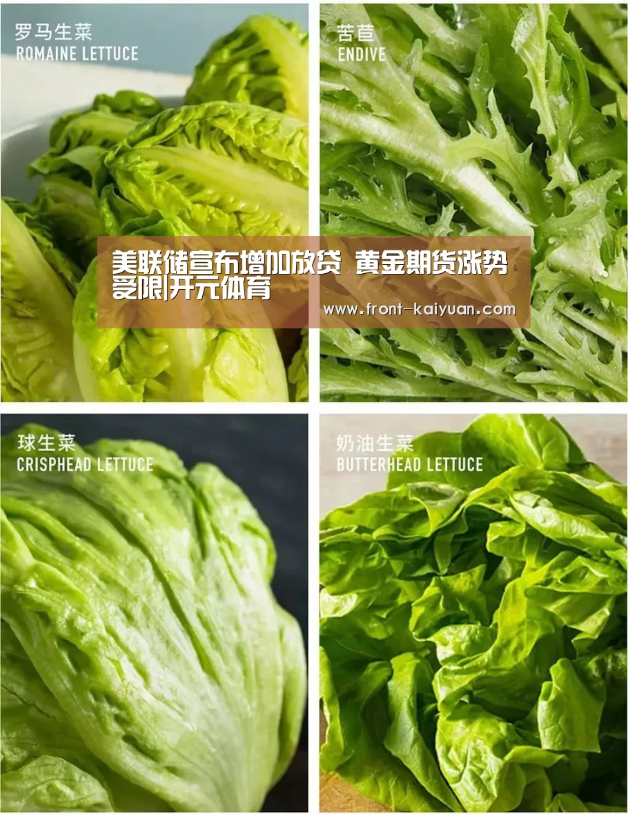 开云官网入口
