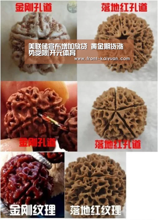 开云官网入口