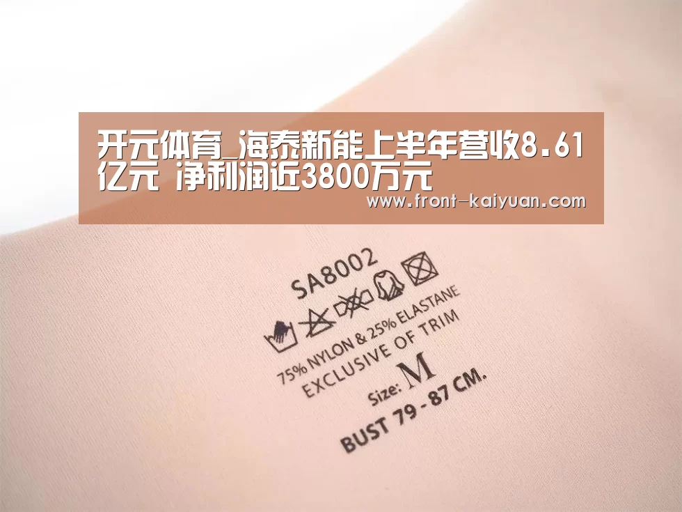 开元体育_海泰新能上半年营收8.61亿元 净利润近3800万元(图1) 开云官网入口