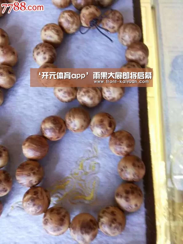 ‘开元体育app’雨果大展即将启幕