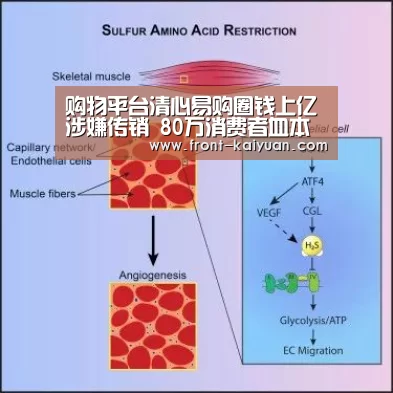 开元体育