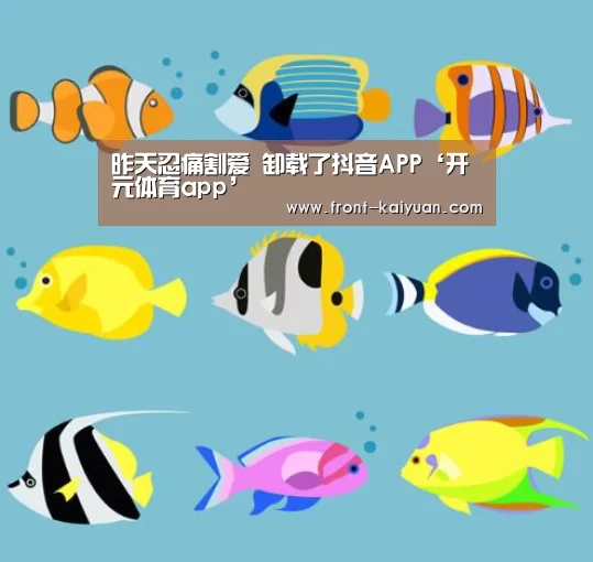 开云官网入口