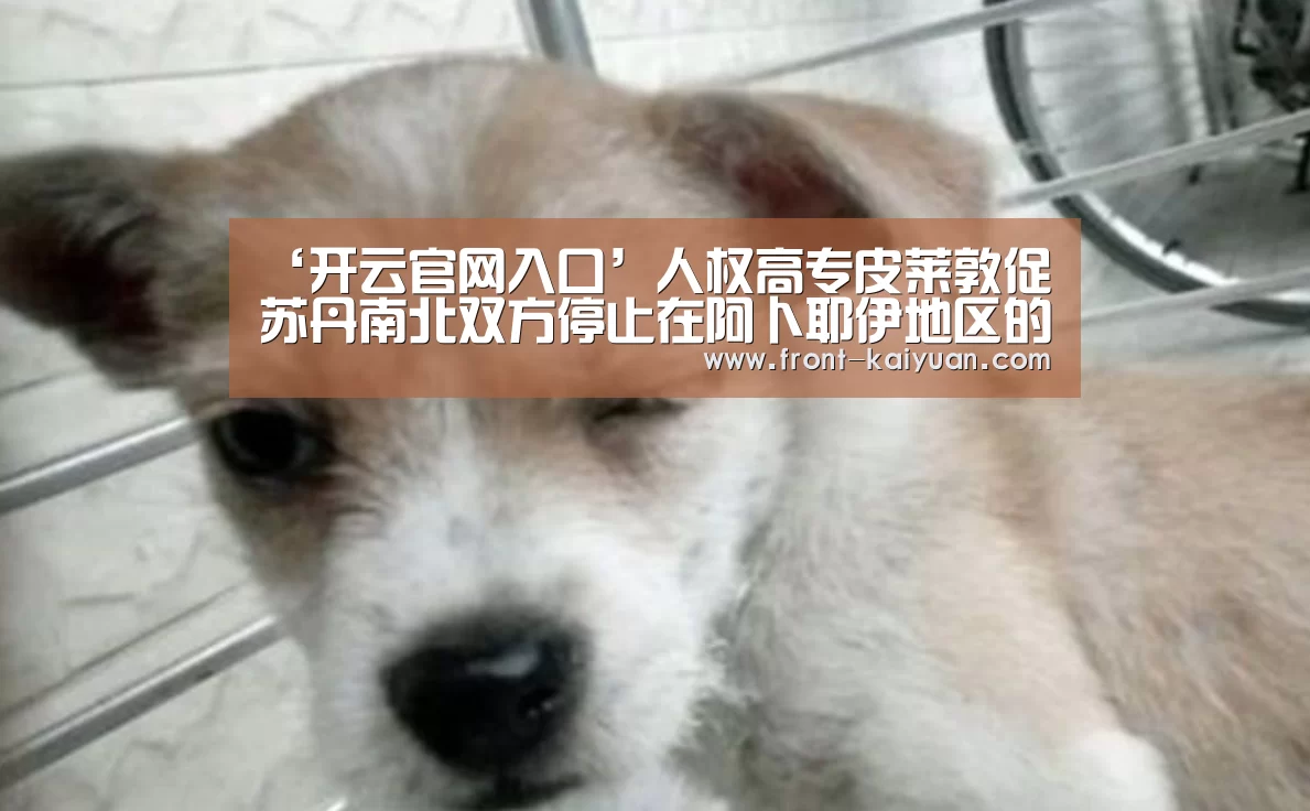开元体育