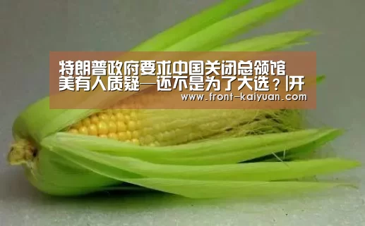 开云官网入口